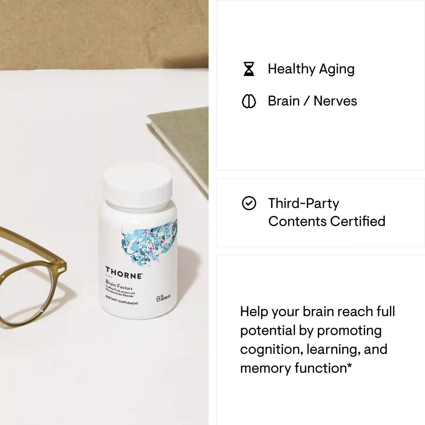 Brain Factors